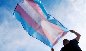 Museu da Diversidade Sexual promove bate papo online sobre o Mês da Visibilidade Trans