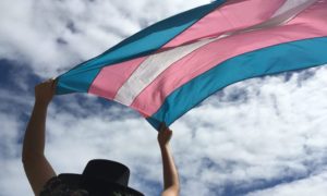 Visibilidade Trans: Mais de 6 mil pessoas realizaram a mudança de nome nos cartórios